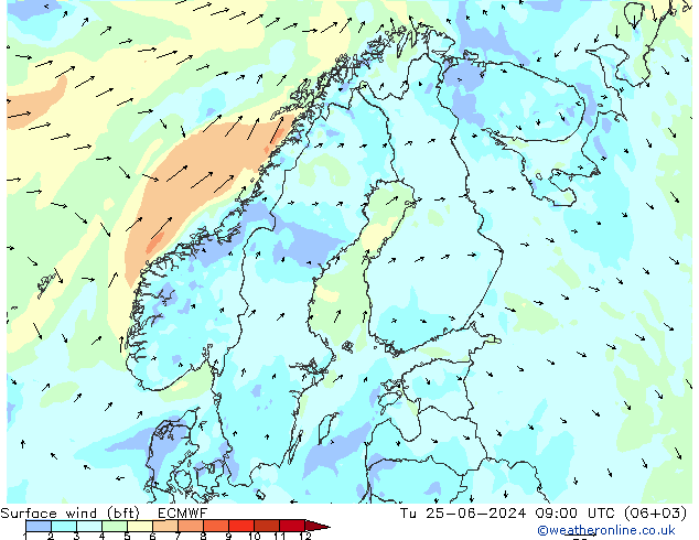 Rüzgar 10 m (bft) ECMWF Sa 25.06.2024 09 UTC