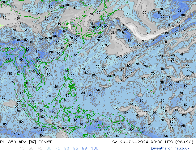 RH 850 hPa ECMWF so. 29.06.2024 00 UTC