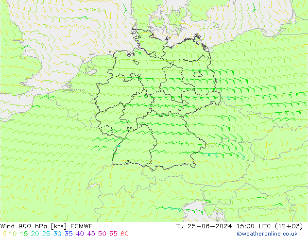 Wind 900 hPa ECMWF Tu 25.06.2024 15 UTC