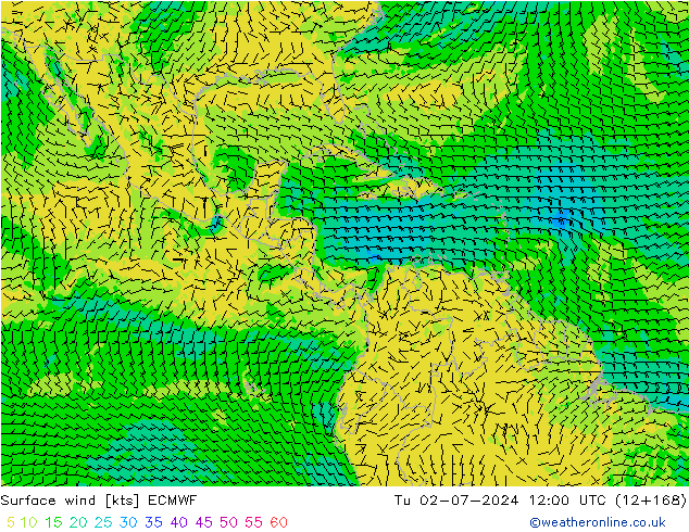 Surface wind ECMWF Tu 02.07.2024 12 UTC