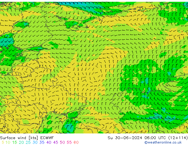 Surface wind ECMWF Su 30.06.2024 06 UTC