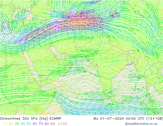 风 300 hPa ECMWF 星期一 01.07.2024 00 UTC