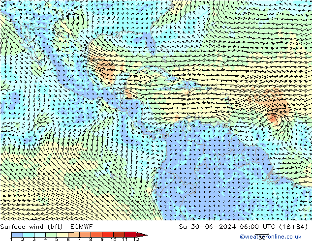 Wind 10 m (bft) ECMWF zo 30.06.2024 06 UTC