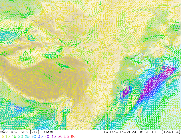 风 950 hPa ECMWF 星期二 02.07.2024 06 UTC