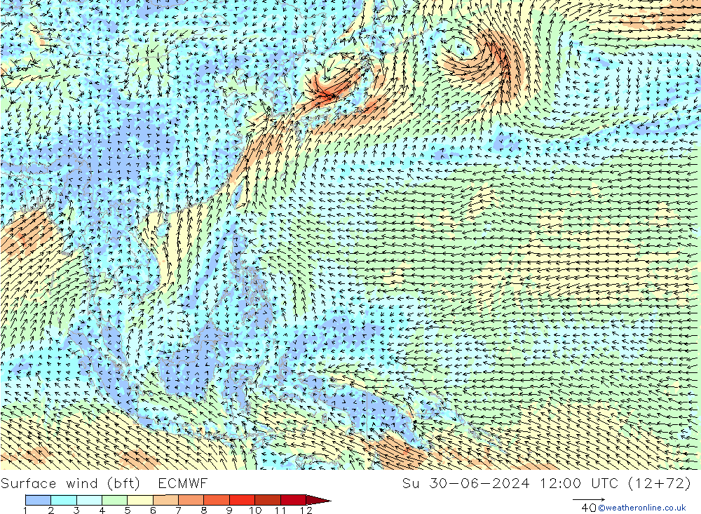 Wind 10 m (bft) ECMWF zo 30.06.2024 12 UTC
