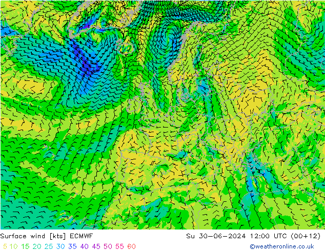 风 10 米 ECMWF 星期日 30.06.2024 12 UTC