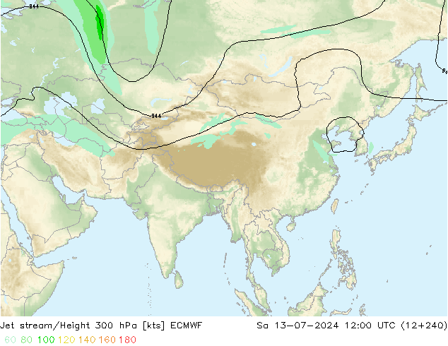 Straalstroom ECMWF za 13.07.2024 12 UTC
