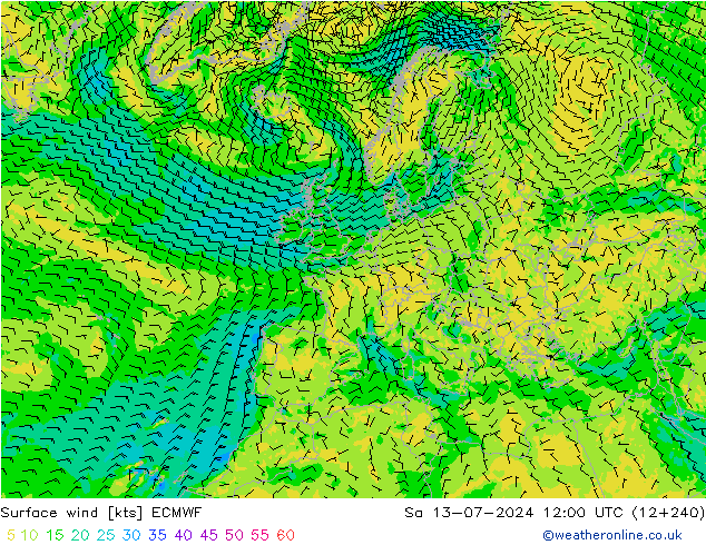 Wind 10 m ECMWF za 13.07.2024 12 UTC