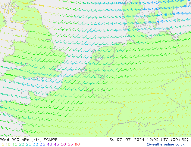 风 900 hPa ECMWF 星期日 07.07.2024 12 UTC