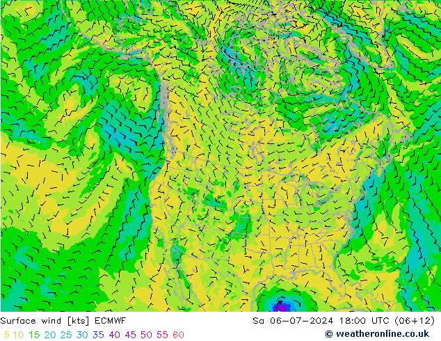 风 10 米 ECMWF 星期六 06.07.2024 18 UTC