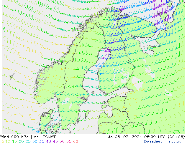 风 900 hPa ECMWF 星期一 08.07.2024 06 UTC