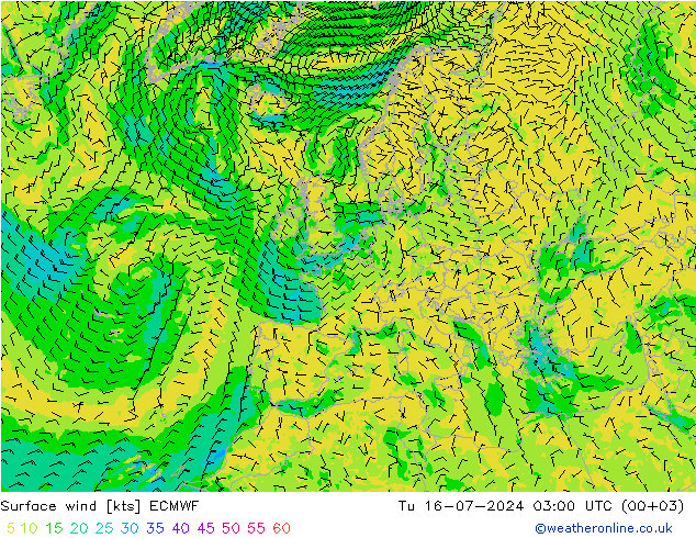 Wind 10 m ECMWF di 16.07.2024 03 UTC