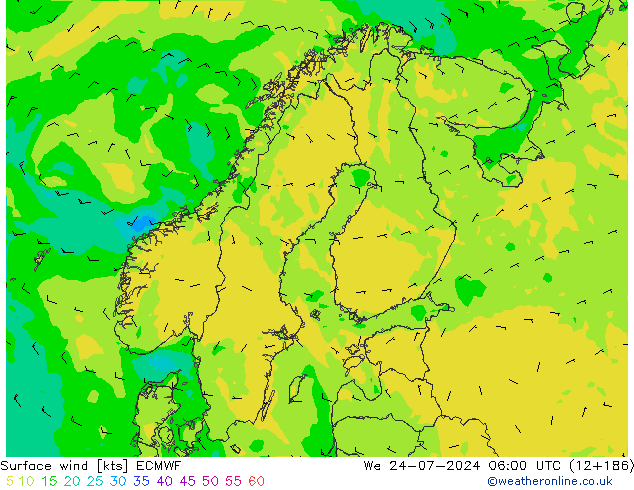 风 10 米 ECMWF 星期三 24.07.2024 06 UTC