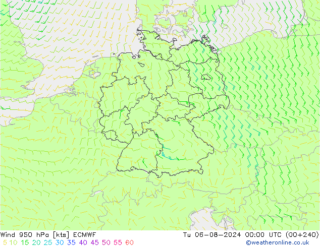 风 950 hPa ECMWF 星期二 06.08.2024 00 UTC