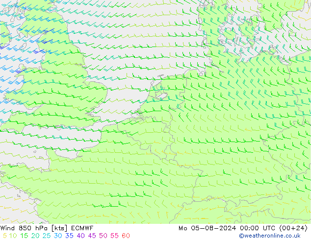 Wind 850 hPa ECMWF ma 05.08.2024 00 UTC