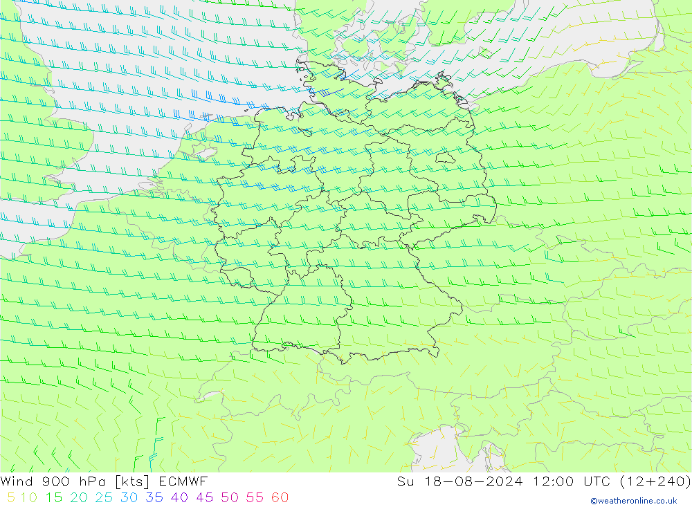 风 900 hPa ECMWF 星期日 18.08.2024 12 UTC