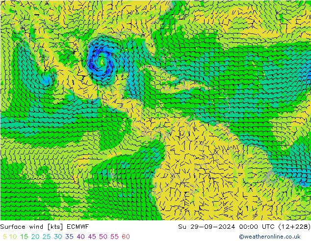 Surface wind ECMWF Su 29.09.2024 00 UTC