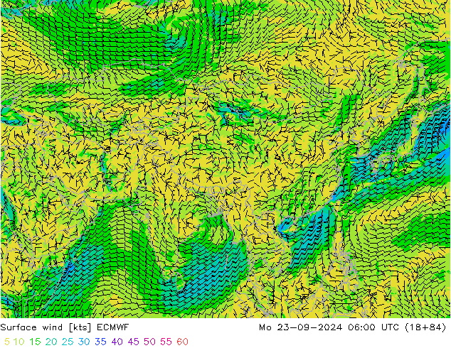 Surface wind ECMWF Mo 23.09.2024 06 UTC