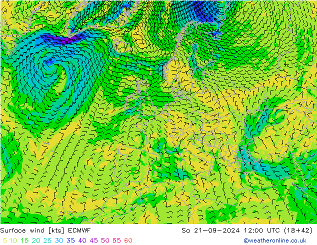 Surface wind ECMWF Sa 21.09.2024 12 UTC