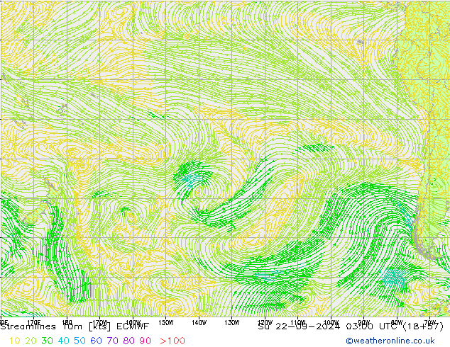 Streamlines 10m ECMWF Ne 22.09.2024 03 UTC