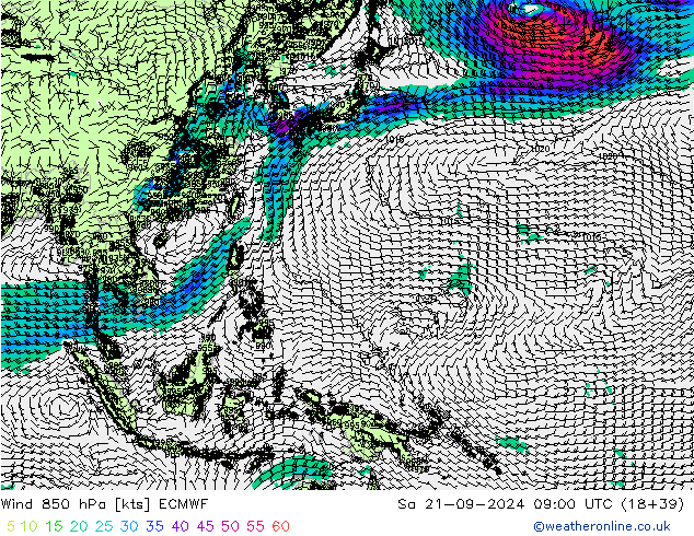 Wind 850 hPa ECMWF Sa 21.09.2024 09 UTC