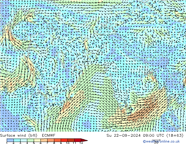 Vento 10 m (bft) ECMWF dom 22.09.2024 09 UTC