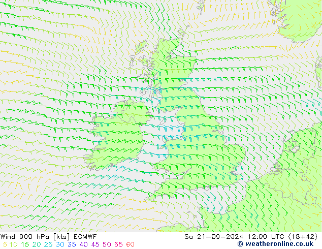  900 hPa ECMWF  21.09.2024 12 UTC