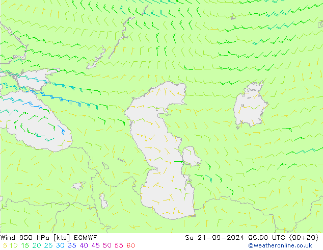 wiatr 950 hPa ECMWF so. 21.09.2024 06 UTC