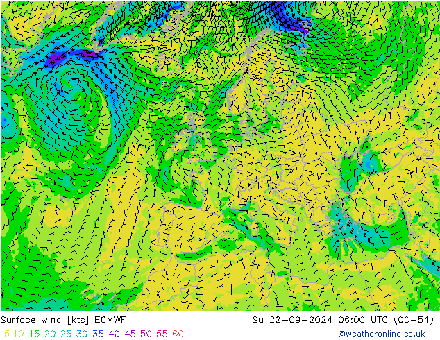 Bodenwind ECMWF So 22.09.2024 06 UTC