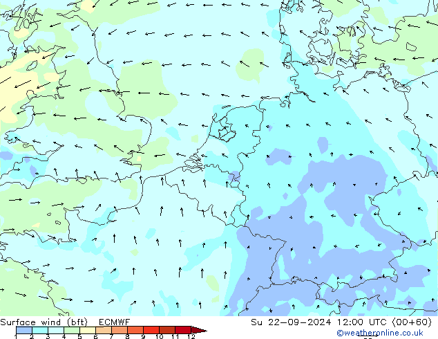 Bodenwind (bft) ECMWF So 22.09.2024 12 UTC