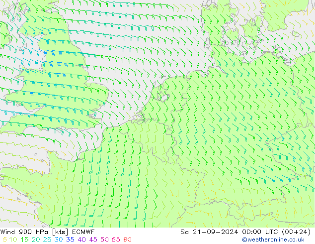 Wind 900 hPa ECMWF So 21.09.2024 00 UTC