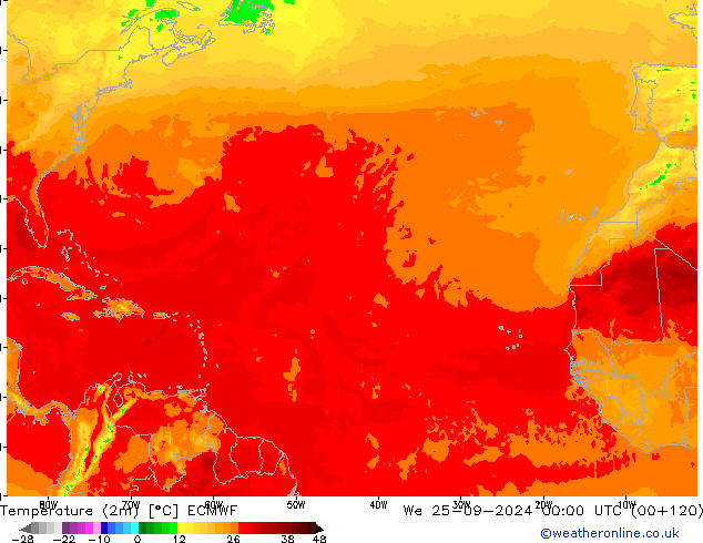 Temperaturkarte (2m) ECMWF Mi 25.09.2024 00 UTC