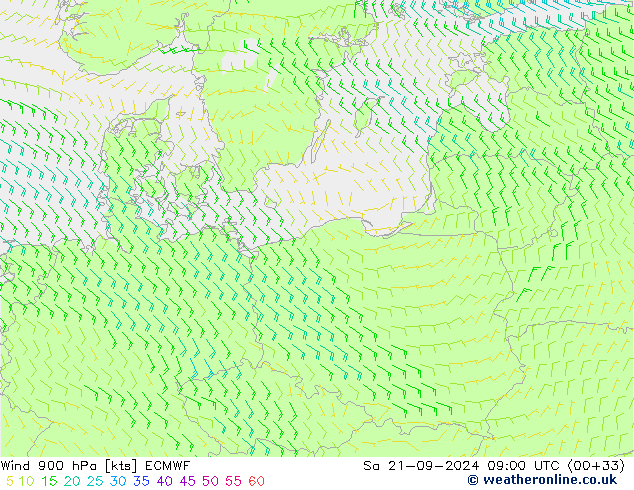 Wind 900 hPa ECMWF Sa 21.09.2024 09 UTC