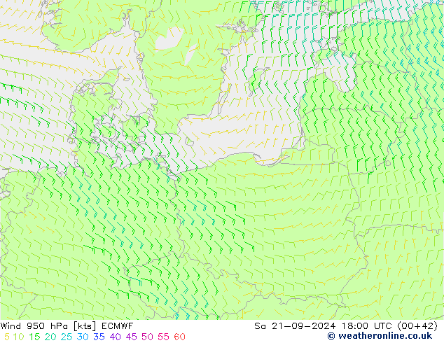 wiatr 950 hPa ECMWF so. 21.09.2024 18 UTC