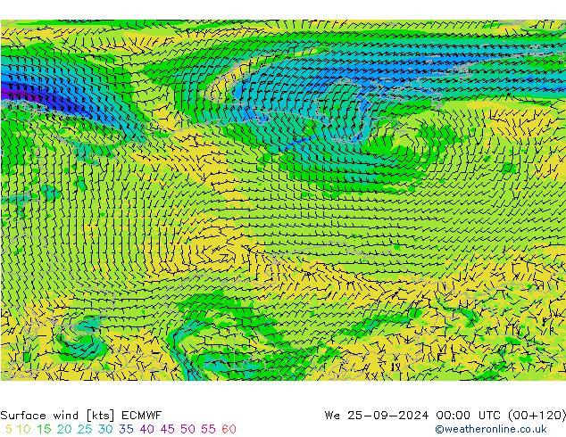 Wind 10 m ECMWF wo 25.09.2024 00 UTC