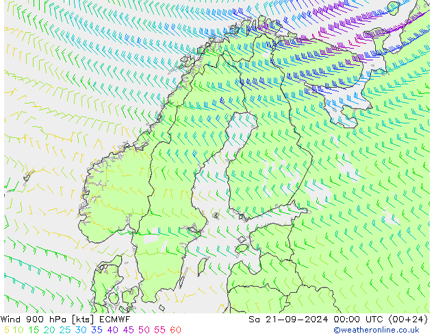 Wind 900 hPa ECMWF So 21.09.2024 00 UTC