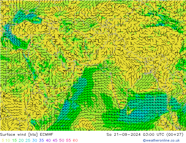  сб 21.09.2024 03 UTC