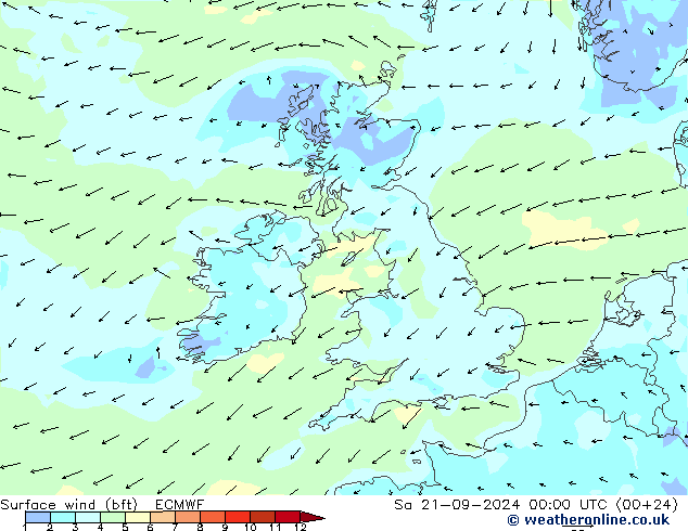 Surface wind (bft) ECMWF So 21.09.2024 00 UTC