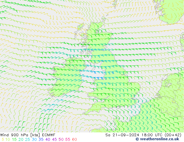  900 hPa ECMWF  21.09.2024 18 UTC