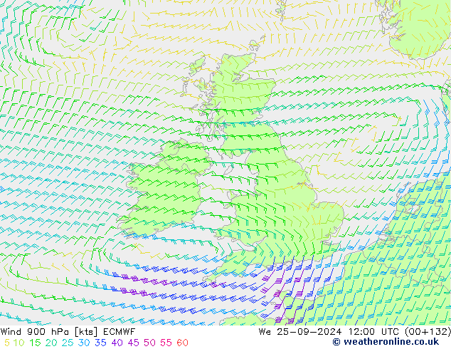  900 hPa ECMWF  25.09.2024 12 UTC