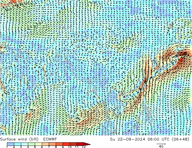 Wind 10 m (bft) ECMWF zo 22.09.2024 06 UTC