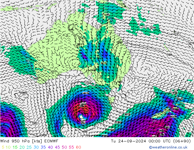 ветер 950 гПа ECMWF вт 24.09.2024 00 UTC