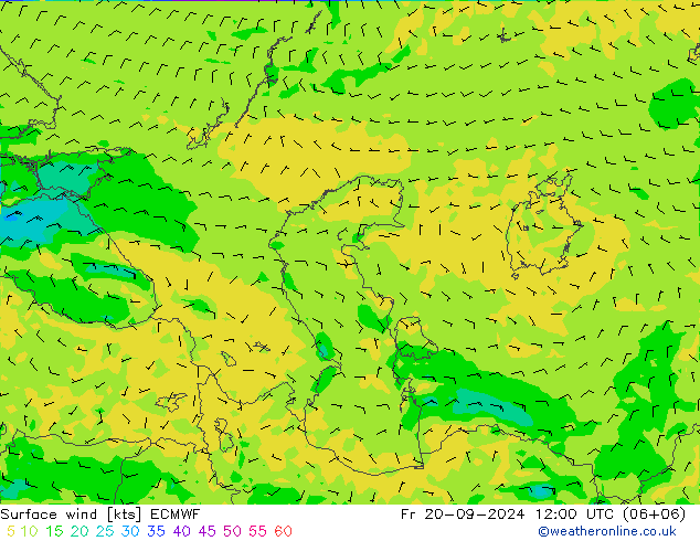 ветер 10 m ECMWF пт 20.09.2024 12 UTC