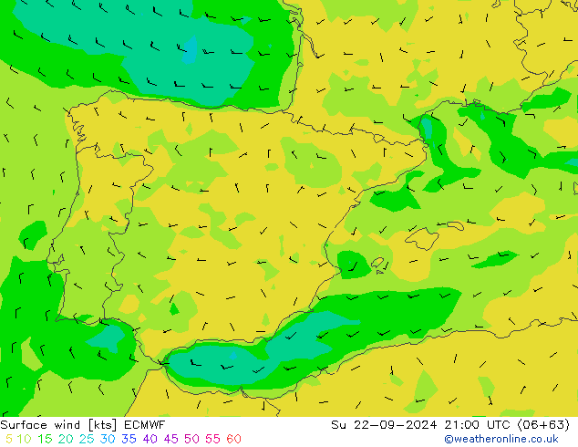 Surface wind ECMWF Su 22.09.2024 21 UTC