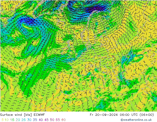 Bodenwind ECMWF Fr 20.09.2024 06 UTC