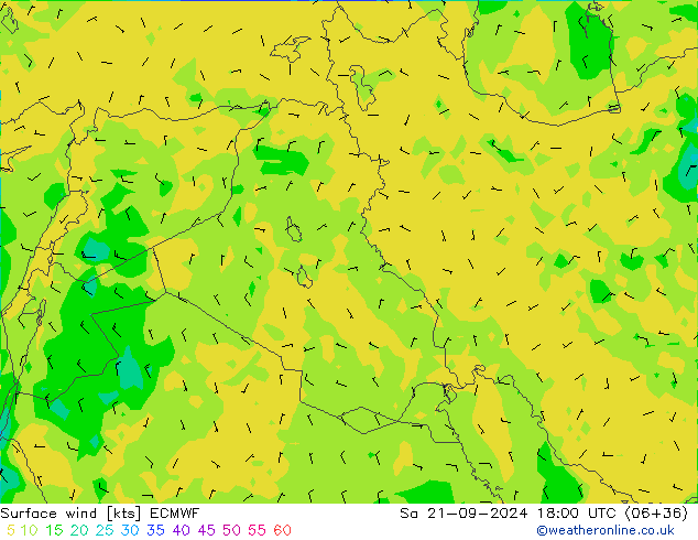 Surface wind ECMWF Sa 21.09.2024 18 UTC