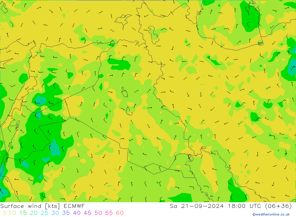 Surface wind ECMWF Sa 21.09.2024 18 UTC