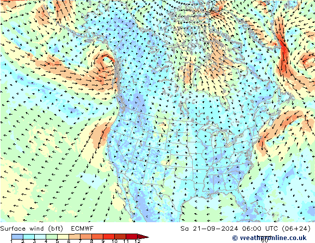 Surface wind (bft) ECMWF Sa 21.09.2024 06 UTC