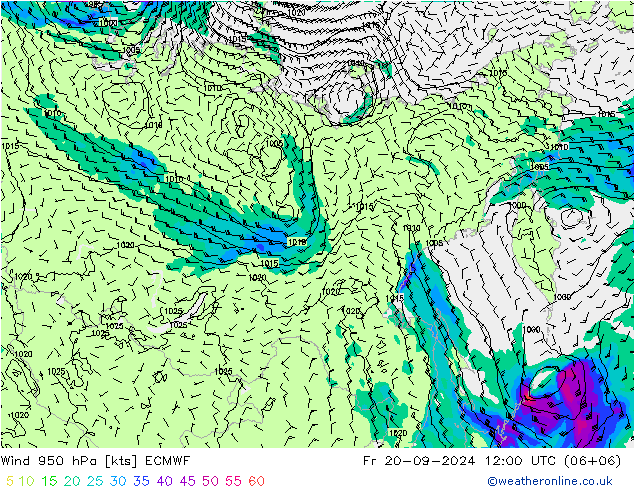 wiatr 950 hPa ECMWF pt. 20.09.2024 12 UTC