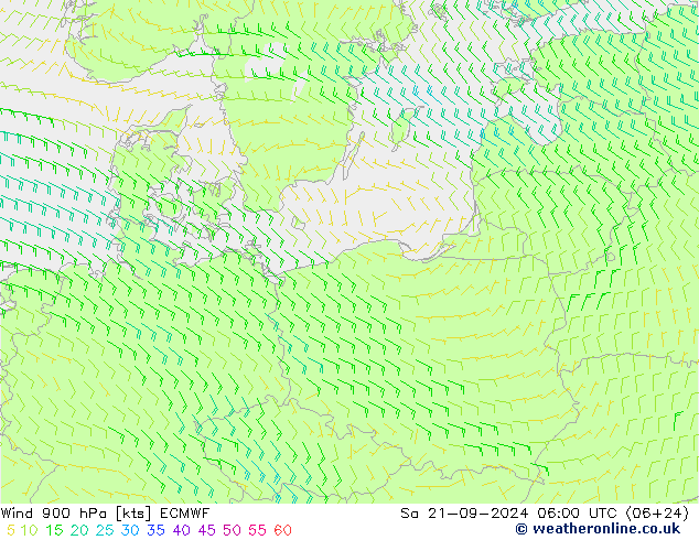 ветер 900 гПа ECMWF сб 21.09.2024 06 UTC